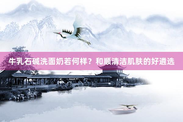 牛乳石碱洗面奶若何样？和顺清洁肌肤的好遴选