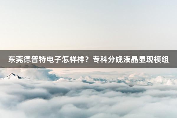 东莞德普特电子怎样样？专科分娩液晶显现模组