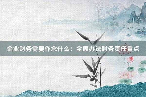 企业财务需要作念什么：全面办法财务责任重点